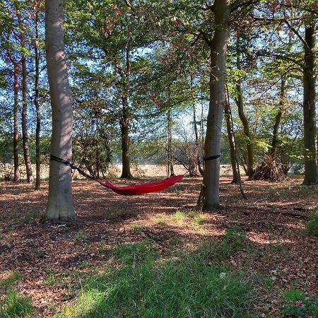 Zum Heuerling Ferienwohung Im Alten Stall Mit Sauna Versmold Kültér fotó