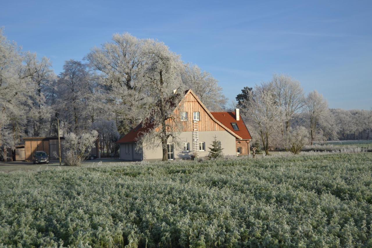Zum Heuerling Ferienwohung Im Alten Stall Mit Sauna Versmold Kültér fotó
